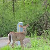 Review photo of Alum Creek State Park Campground by Grace D., May 8, 2019