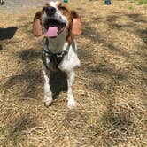 Review photo of Alum Creek State Park Campground by Grace D., May 8, 2019