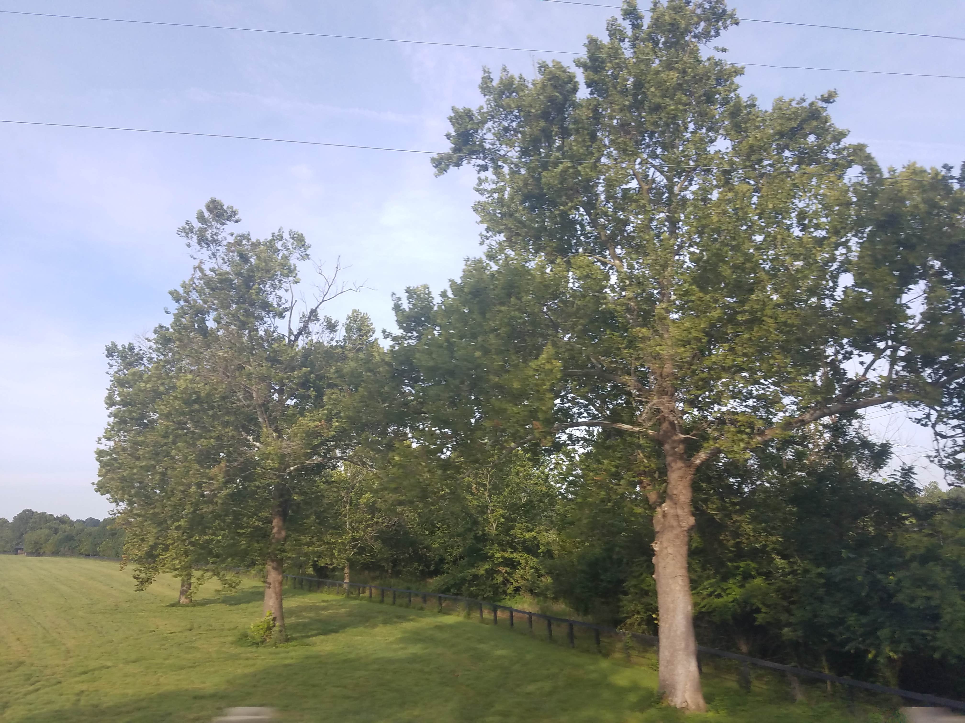 Camper-submitted photo at Kentucky Horse Park Campground in Kentucky