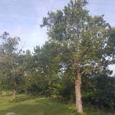 Review photo of Kentucky Horse Park Campground by Emily W., August 29, 2016