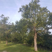 Review photo of Kentucky Horse Park Campground by Emily W., August 29, 2016