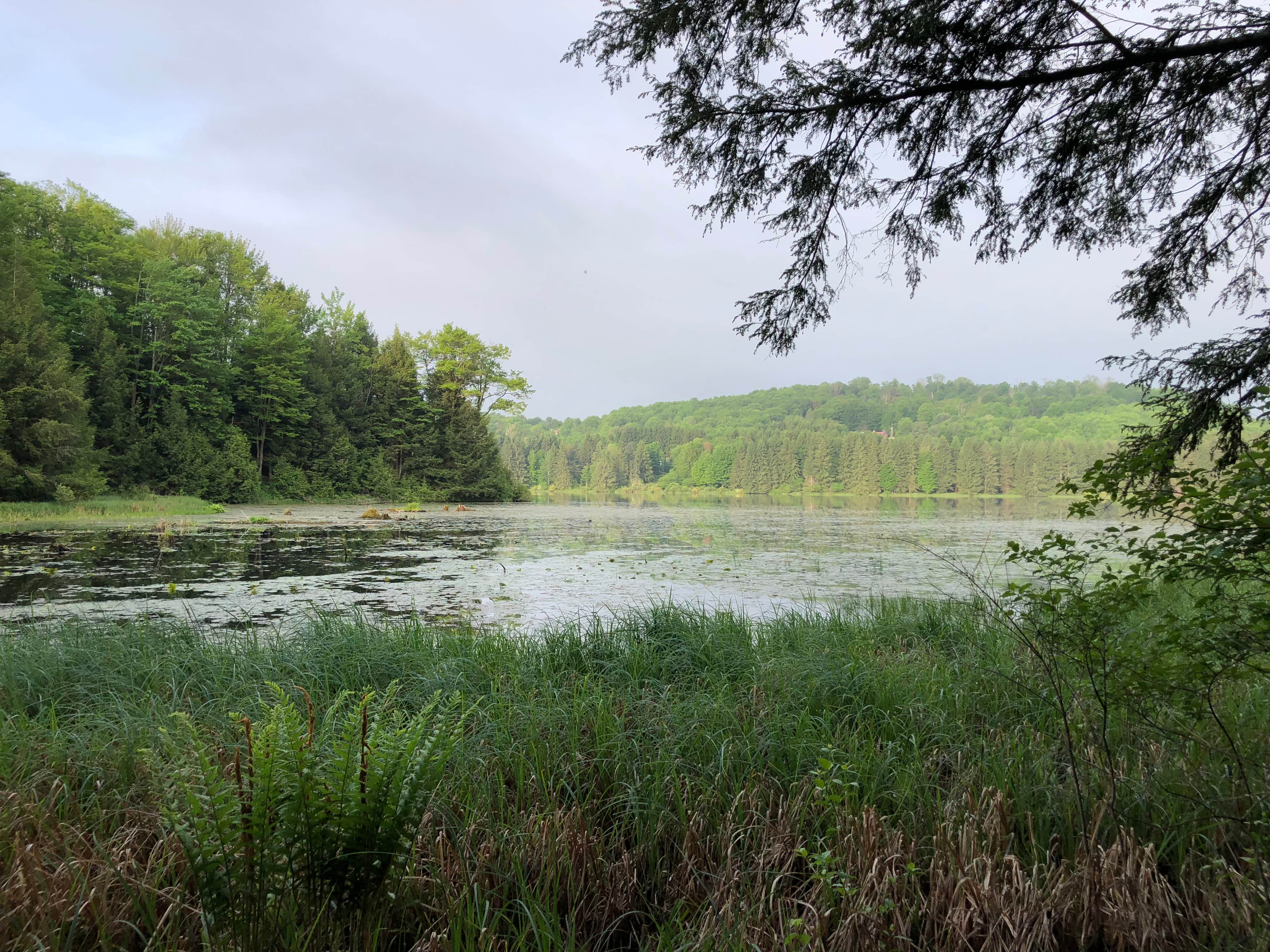 Camper-submitted photo at Hills Creek State Park Campground near Cowanesque Lake