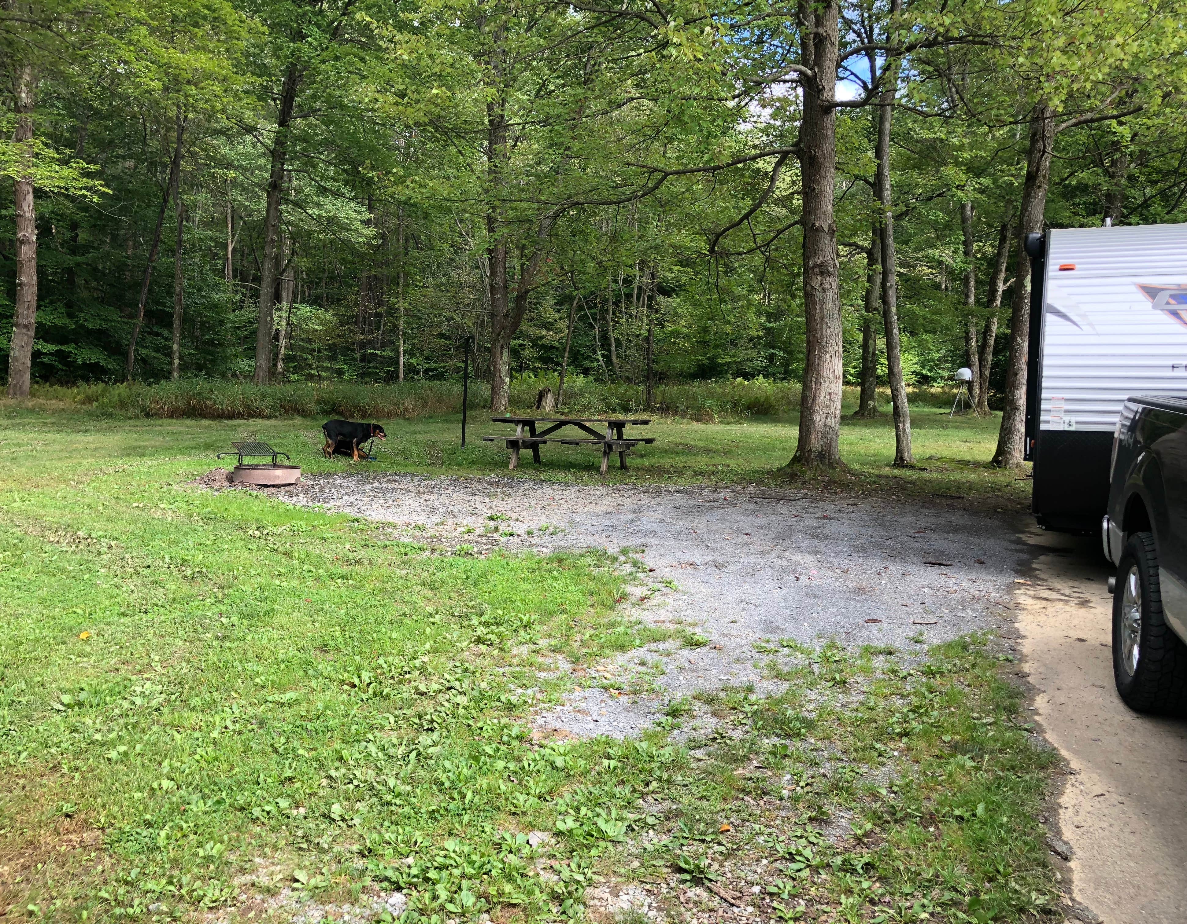 Camper submitted image from Parker Dam State Park Campground - 3