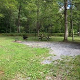 Review photo of Parker Dam State Park Campground by Shirley M., May 8, 2019