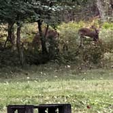 Review photo of Parker Dam State Park Campground by Shirley M., May 8, 2019