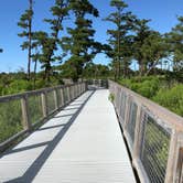 Review photo of Cape Henlopen State Park Campground by Shirley M., May 8, 2019