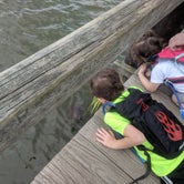 Review photo of Lums Pond State Park by Phinon W., May 8, 2019
