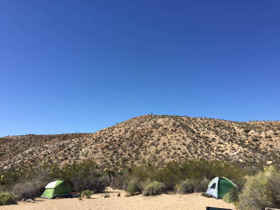 Jo R.'s photo at Cottonwood Campground — Joshua Tree National Park near Joshua Tree National Park