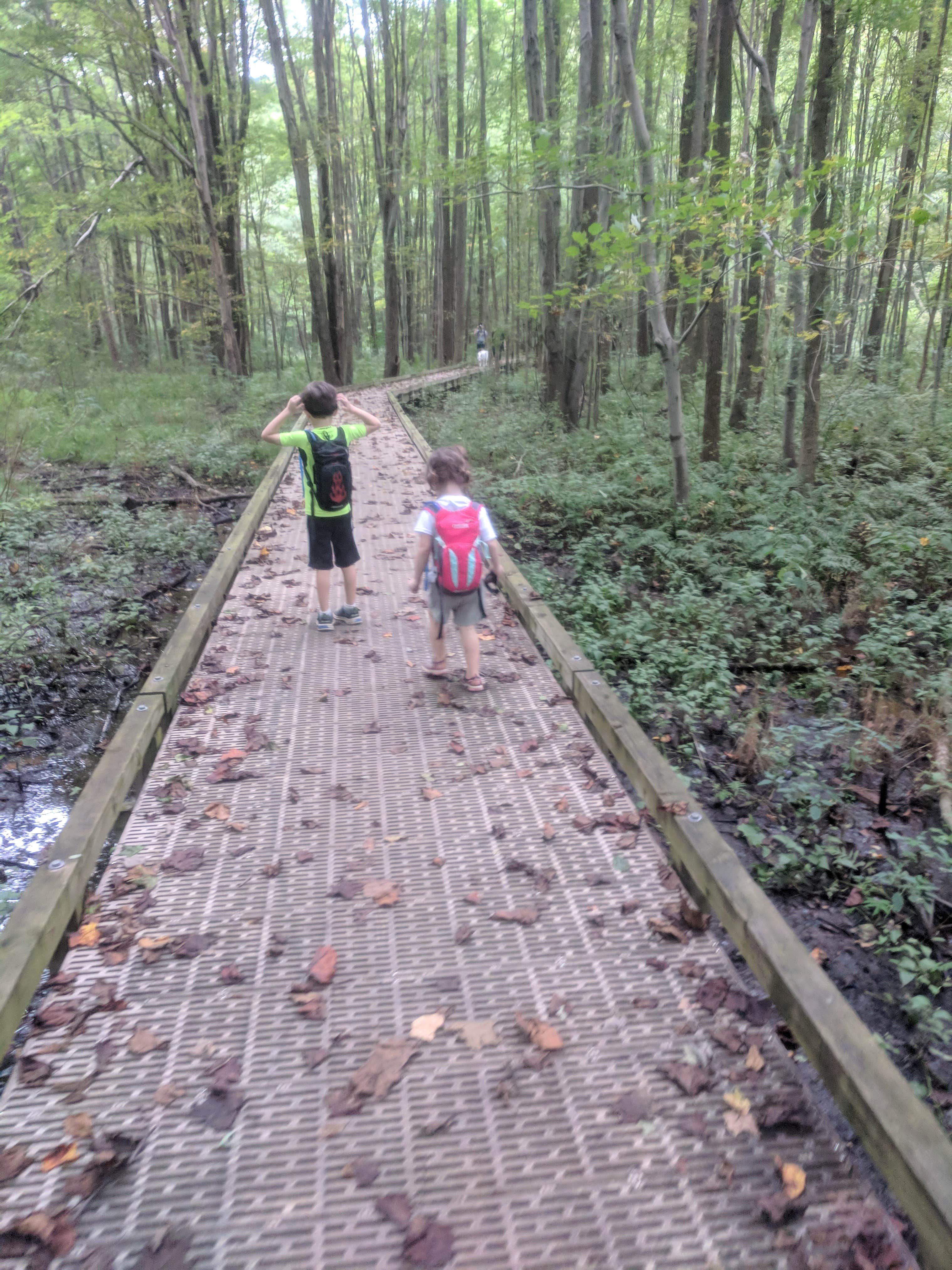 Camper submitted image from Lums Pond State Park Campground - 2