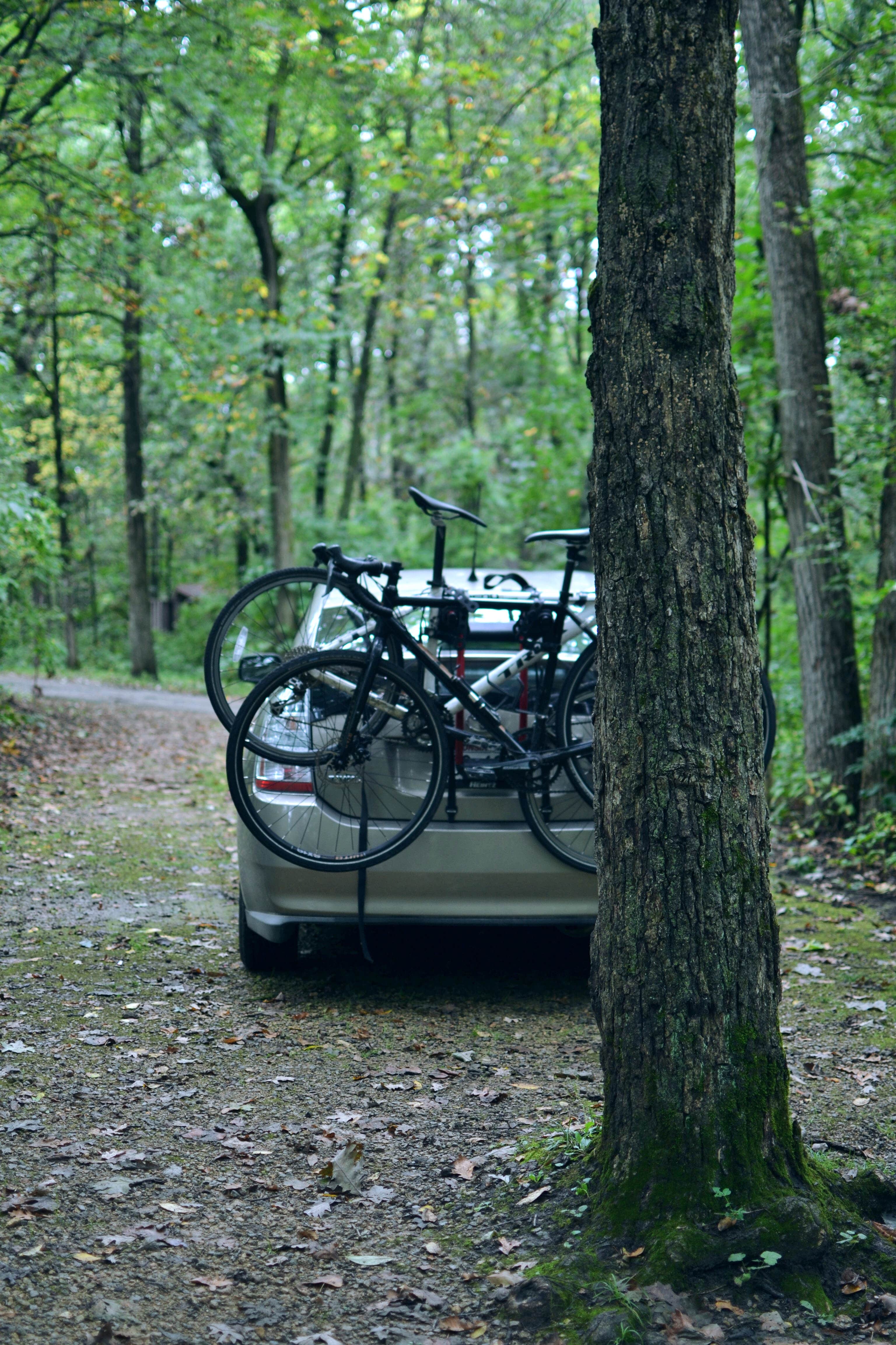 Camper submitted image from New Glarus State Park Campground - 4