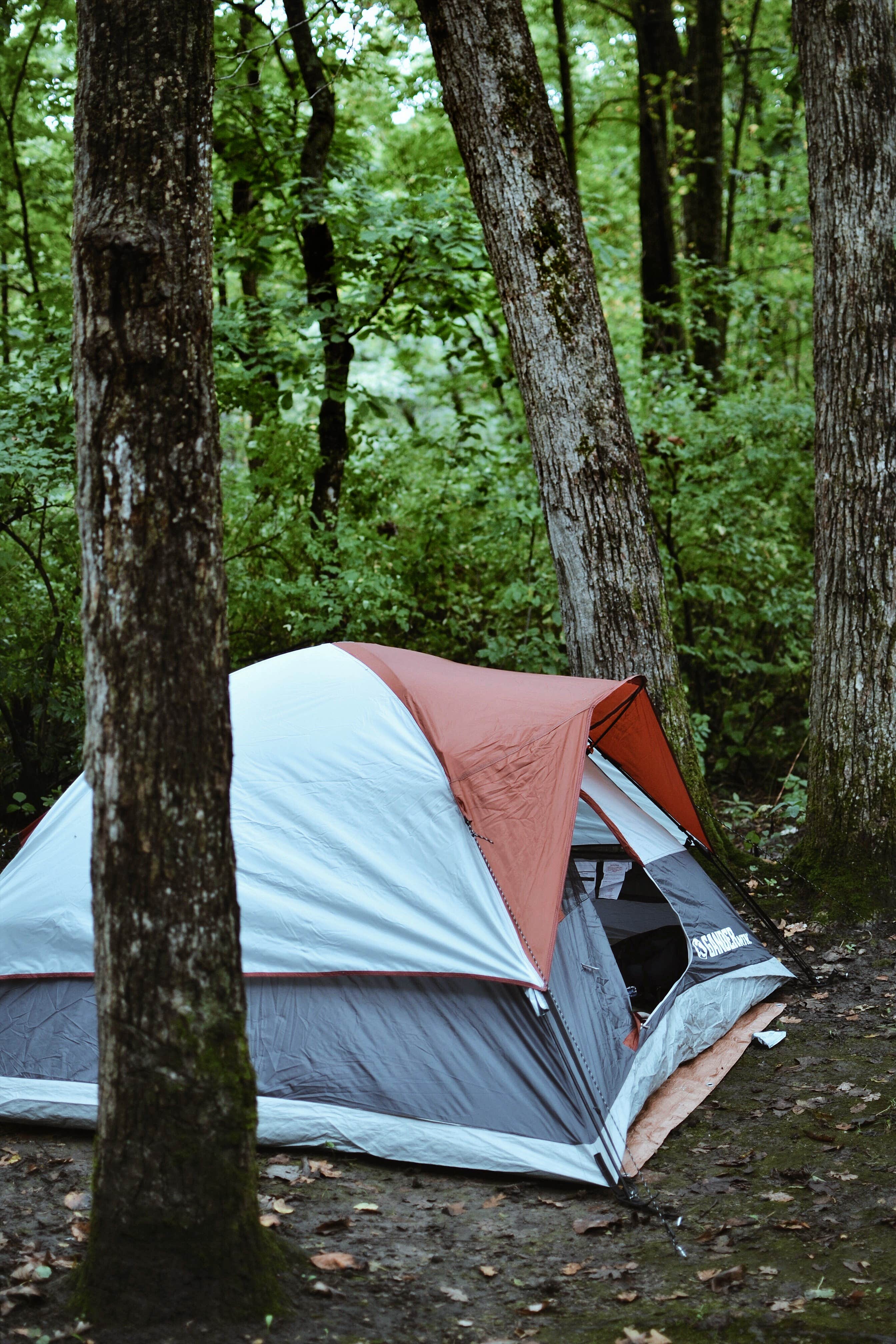 Sapphire J.'s photo of tent camping at New Glarus State Park Campground near Lake Mills, WI