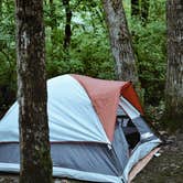 Review photo of New Glarus State Park Campground by Sapphire J., May 8, 2019