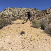 Review photo of Cottonwood Campground — Joshua Tree National Park by Jo R., August 29, 2016