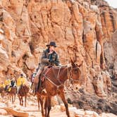Review photo of Mather Campground — Grand Canyon National Park by Sapphire J., May 8, 2019
