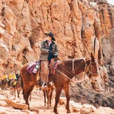 Review photo of Mather Campground — Grand Canyon National Park by Sapphire J., May 8, 2019