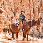Review photo of Mather Campground — Grand Canyon National Park by Sapphire J., May 8, 2019