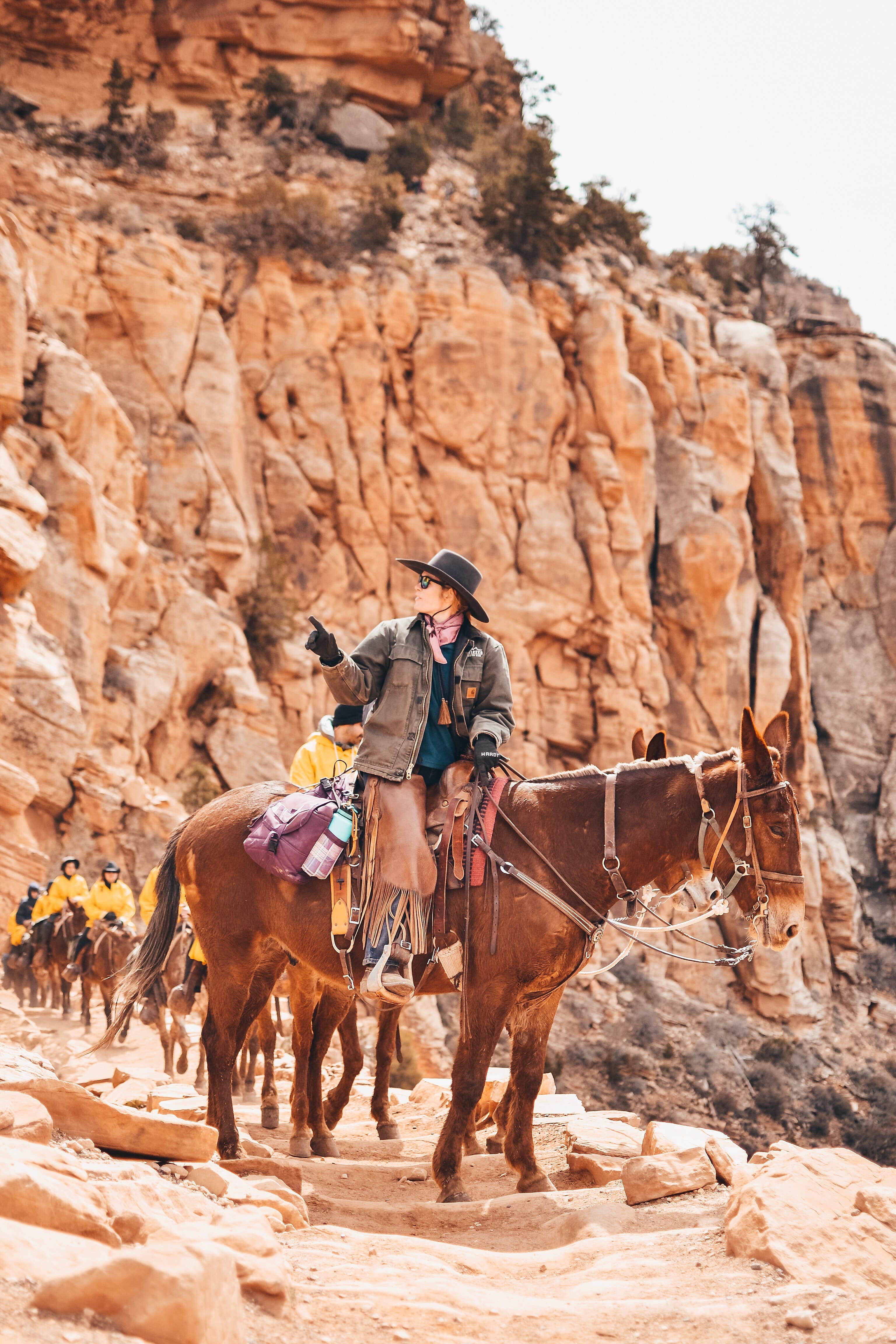 Sapphire J.'s photo of camping with a horse at Mather Campground — Grand Canyon National Park near Grand Canyon, AZ