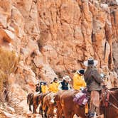 Review photo of Mather Campground — Grand Canyon National Park by Sapphire J., May 8, 2019