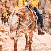 Review photo of Mather Campground — Grand Canyon National Park by Sapphire J., May 8, 2019