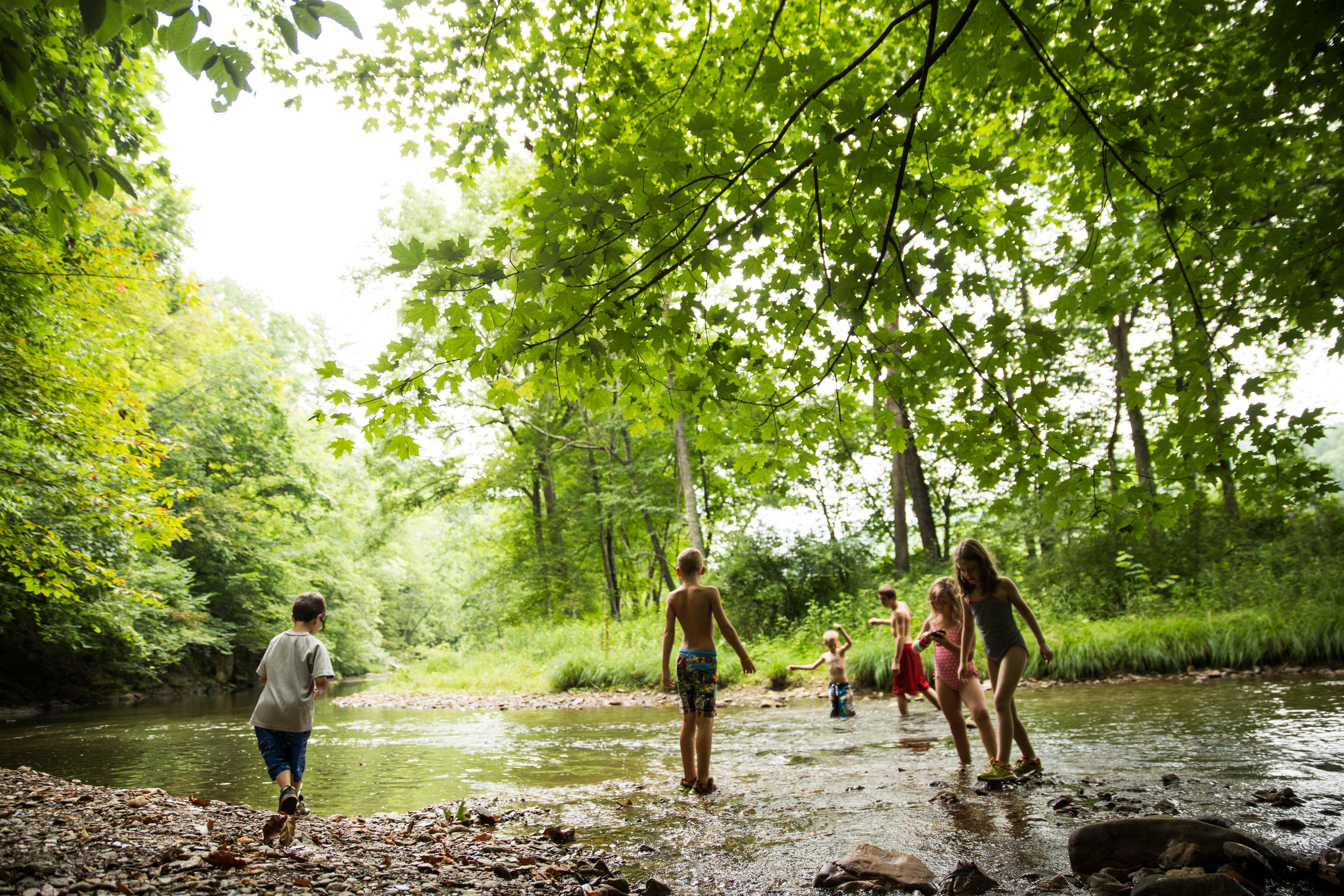 Camper-submitted photo at Camp Alta Mons near Salem, VA
