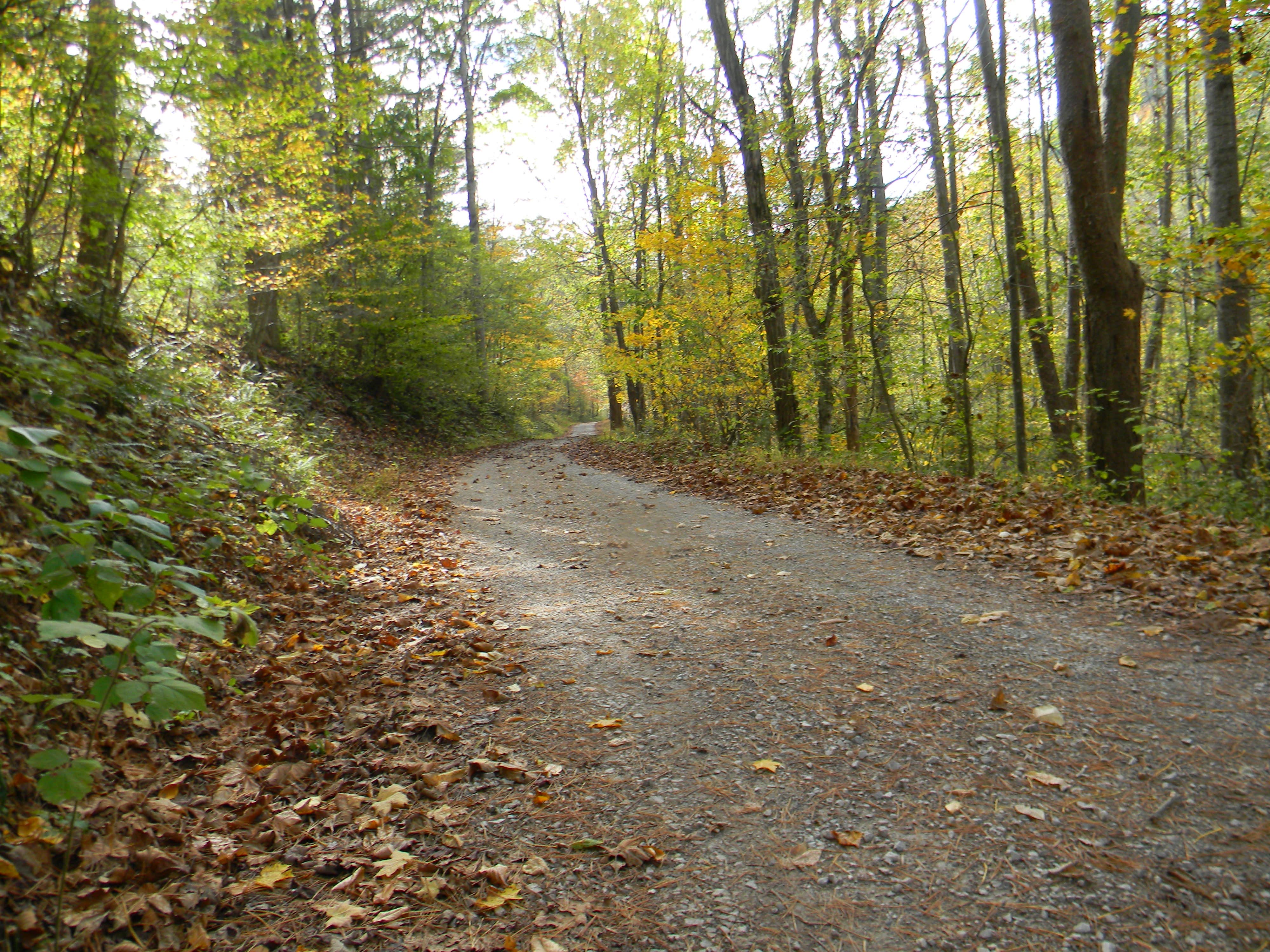 Camper-submitted photo at Camp Alta Mons near Salem, VA
