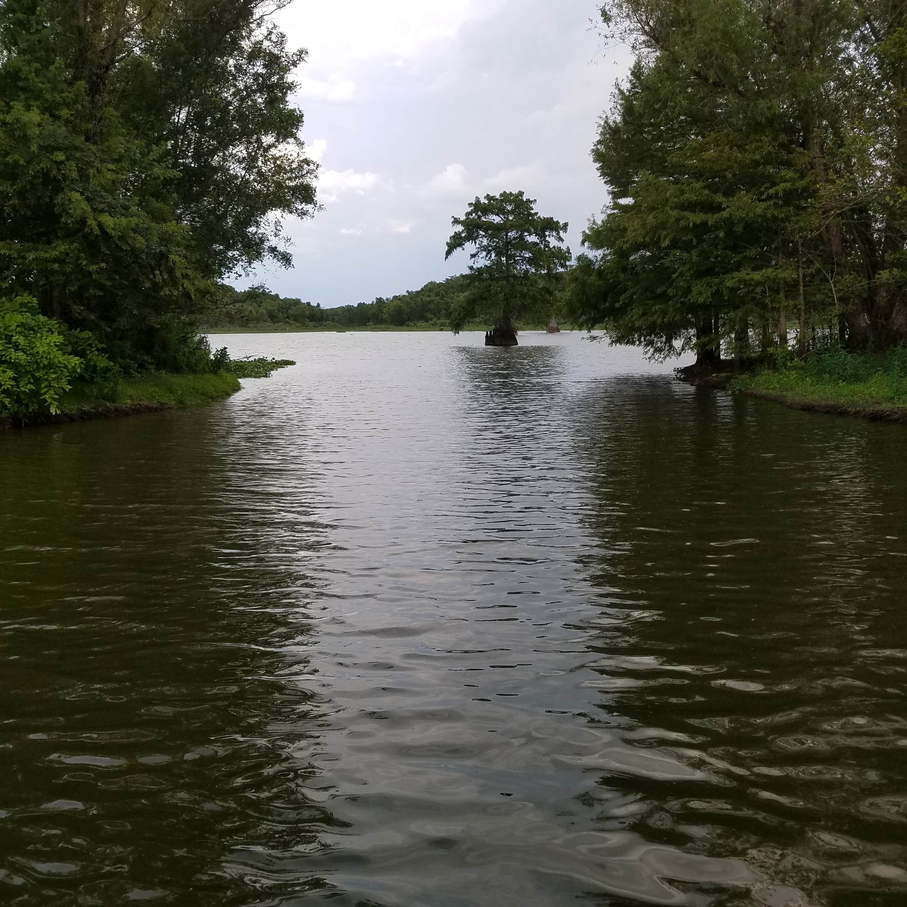 Camper submitted image from Spring Bayou Wildlife Management Area Campground - 3