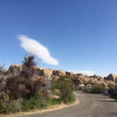 Review photo of Jumbo Rocks Campground — Joshua Tree National Park by Susan V., May 8, 2019