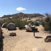 Review photo of Jumbo Rocks Campground — Joshua Tree National Park by Susan V., May 8, 2019
