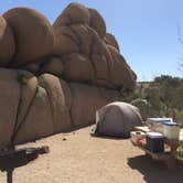 Review photo of Jumbo Rocks Campground — Joshua Tree National Park by Susan V., May 8, 2019