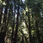 Review photo of Pfeiffer Big Sur State Park Campground by Susan V., May 9, 2019