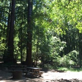 Review photo of Pfeiffer Big Sur State Park by Susan V., May 9, 2019