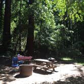 Review photo of Pfeiffer Big Sur State Park Campground by Susan V., May 9, 2019