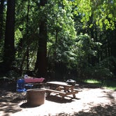 Review photo of Pfeiffer Big Sur State Park by Susan V., May 9, 2019