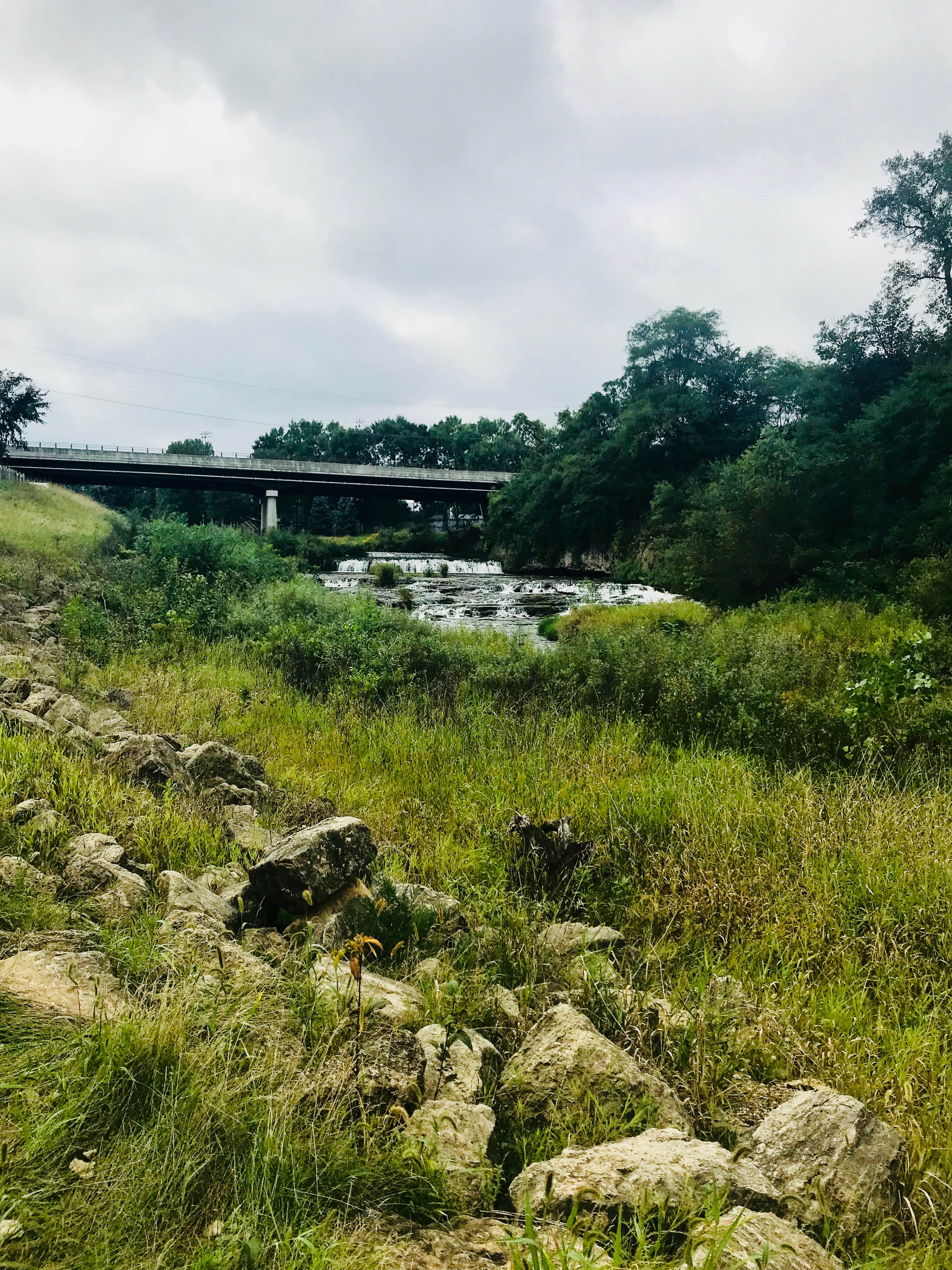 Camper submitted image from Cannon Falls Campground - 5