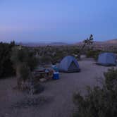 Review photo of Black Rock Campground — Joshua Tree National Park by Susan V., May 9, 2019