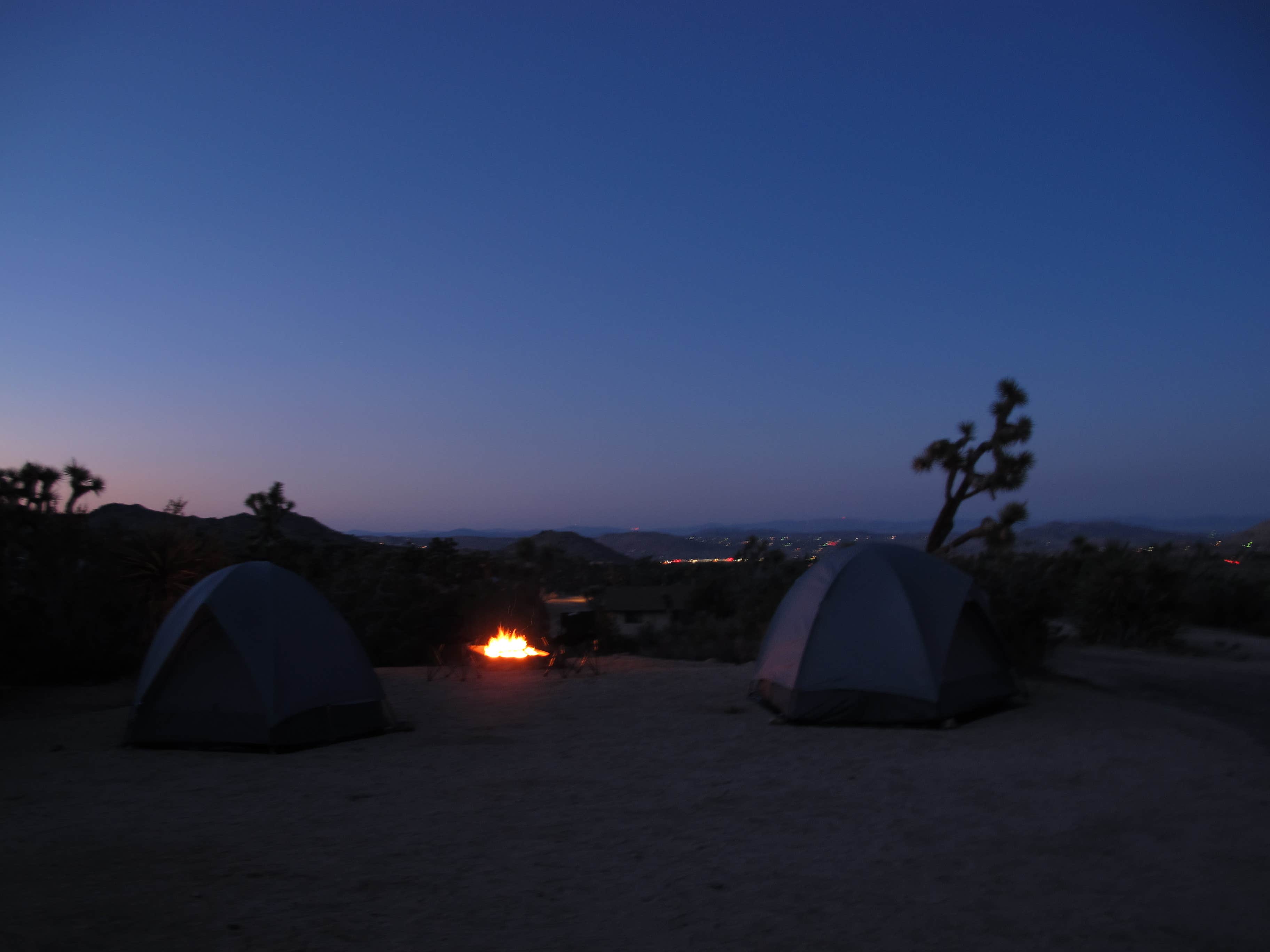 Susan V.'s photo at Black Rock Campground — Joshua Tree National Park near Thousand Palms, CA