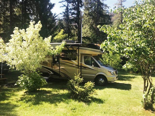 Camper submitted image from Umpqua's Last Resort & Oregon Mountain Guides - 4