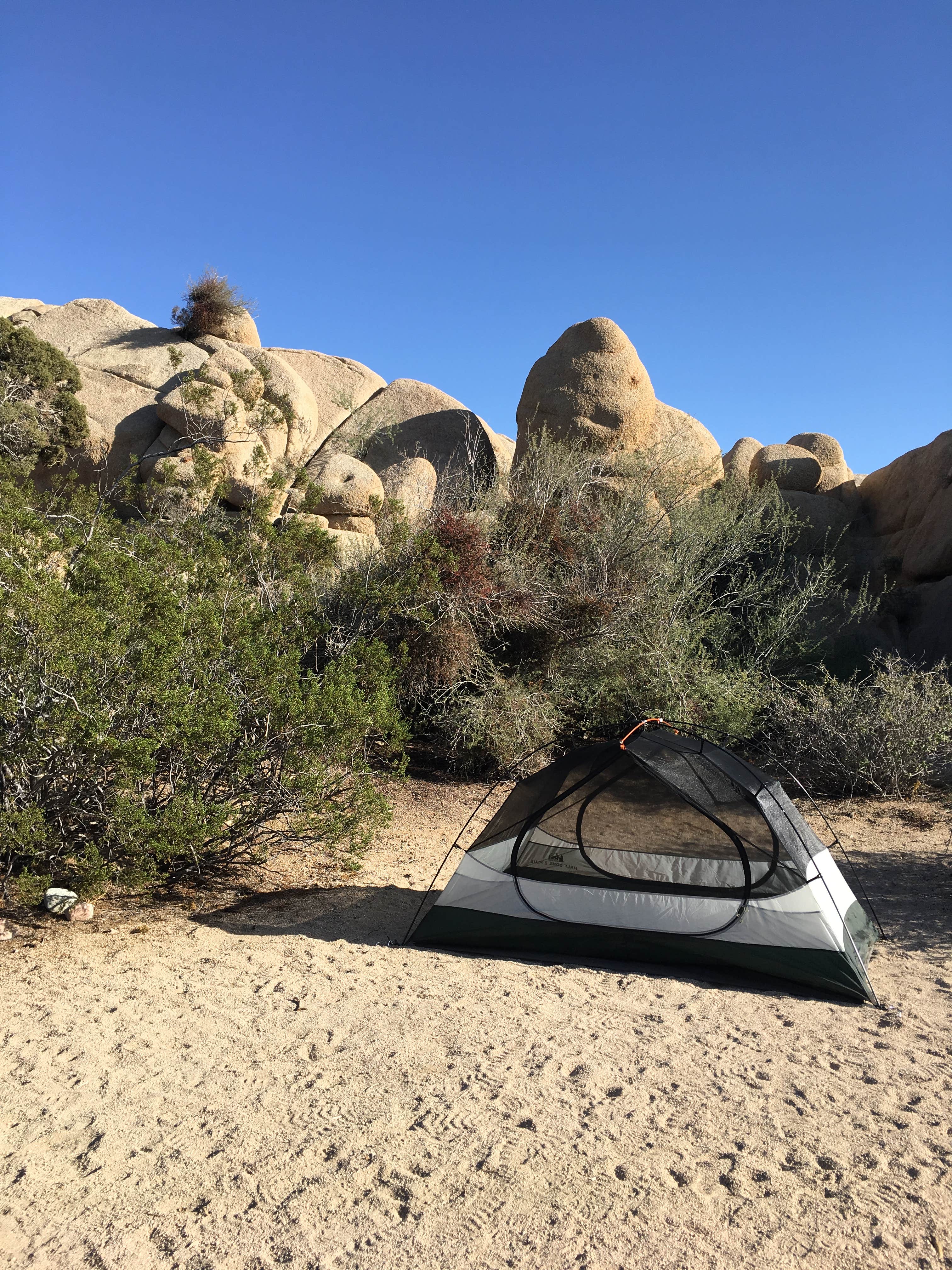 Adriela A.'s photo at Sheep Pass Group Campground — Joshua Tree National Park near Indio, CA