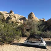 Review photo of Sheep Pass Group Campground — Joshua Tree National Park by Adriela A., May 9, 2019