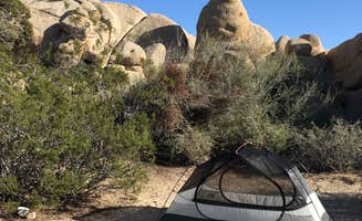 Adriela A.'s photo at Sheep Pass Group Campground — Joshua Tree National Park near Thousand Palms, CA