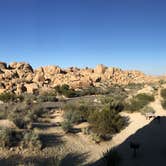 Review photo of Sheep Pass Campground — Joshua Tree National Park by Adriela A., May 9, 2019