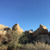 Review photo of Sheep Pass Campground — Joshua Tree National Park by Adriela A., May 9, 2019
