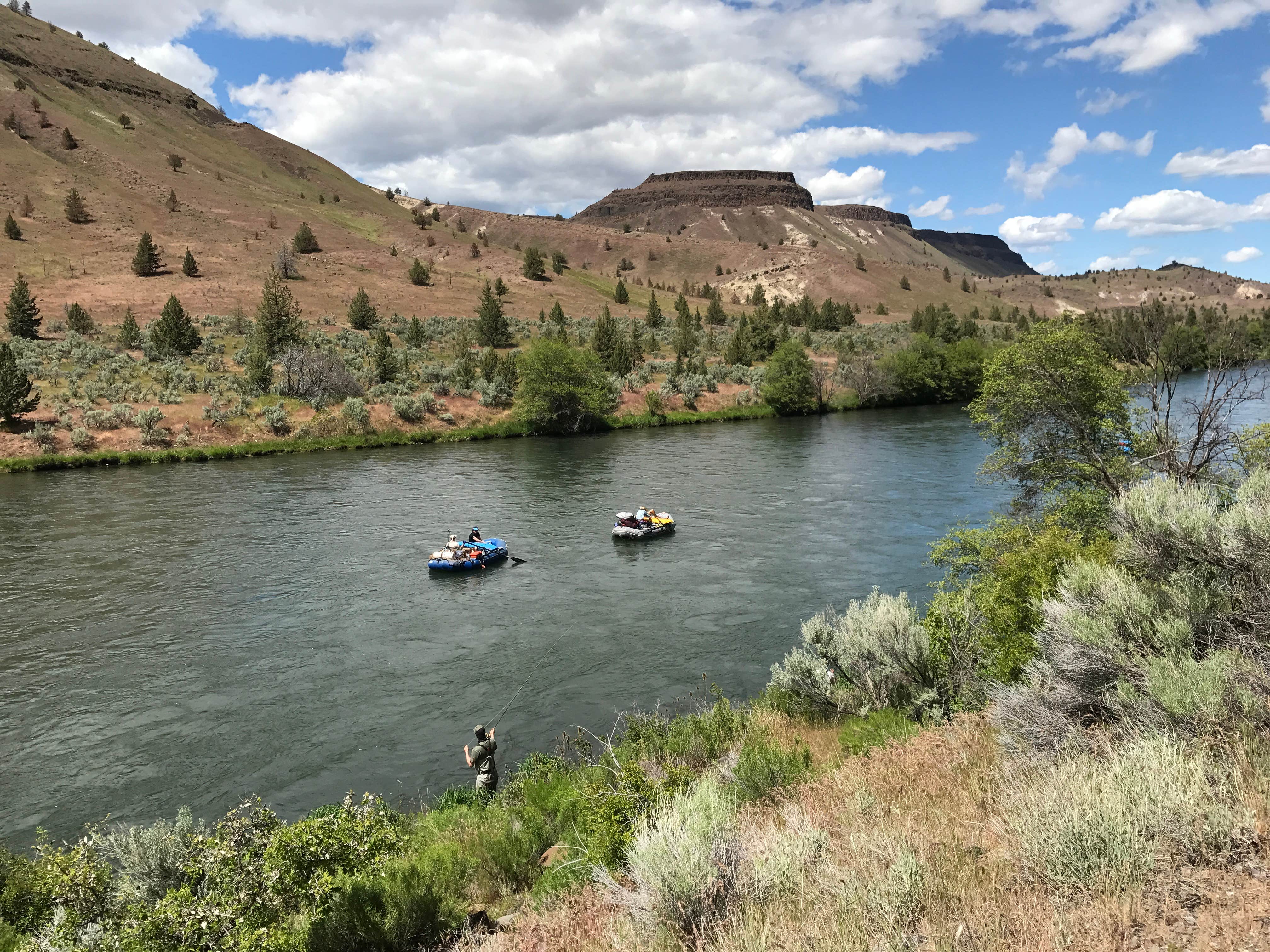 Camper submitted image from Trout Creek Campground - 4