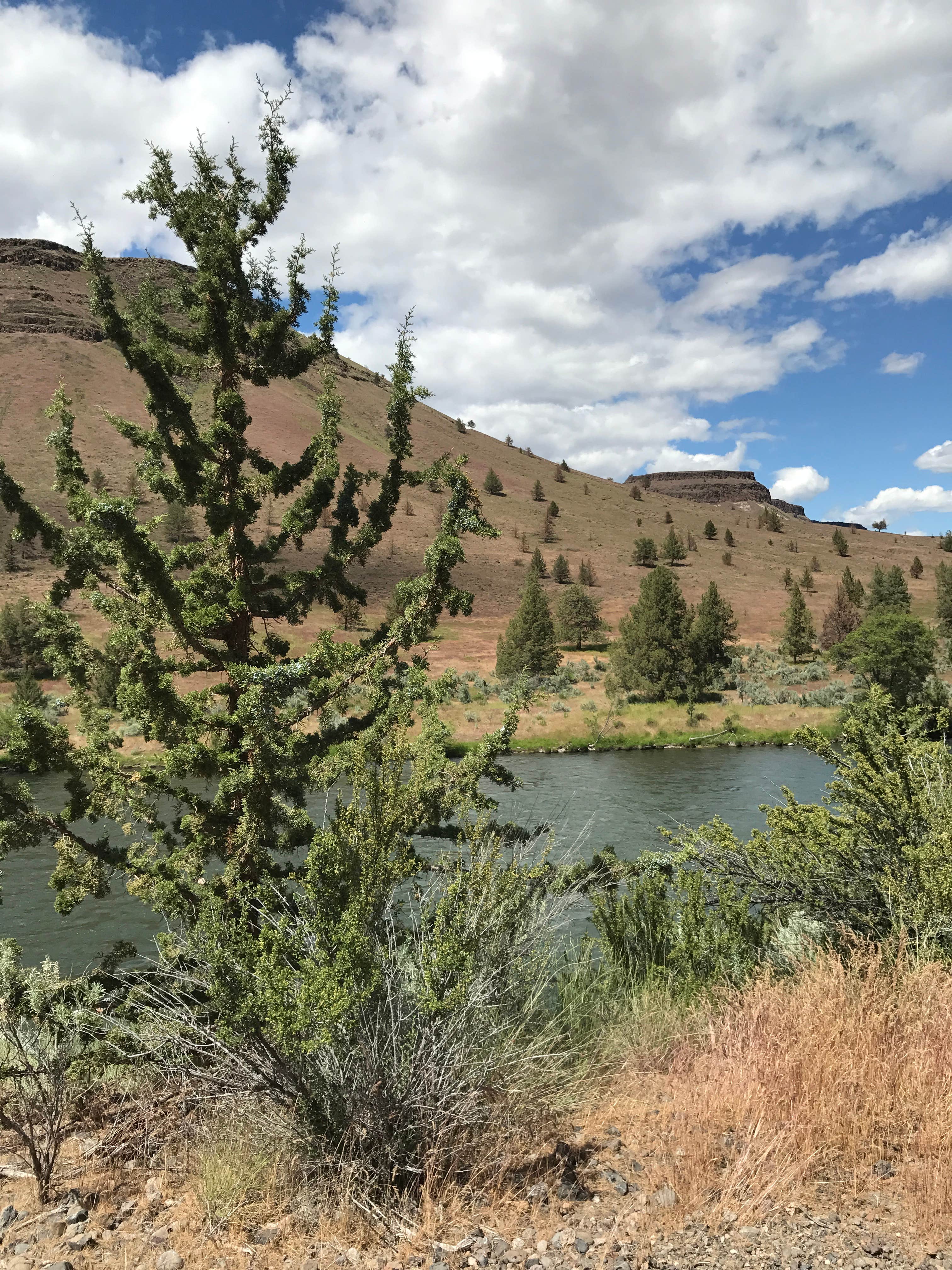 Trout Creek Campground Madras, OR