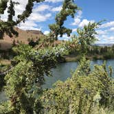 Review photo of Trout Creek Campground by Thomas B., May 9, 2019