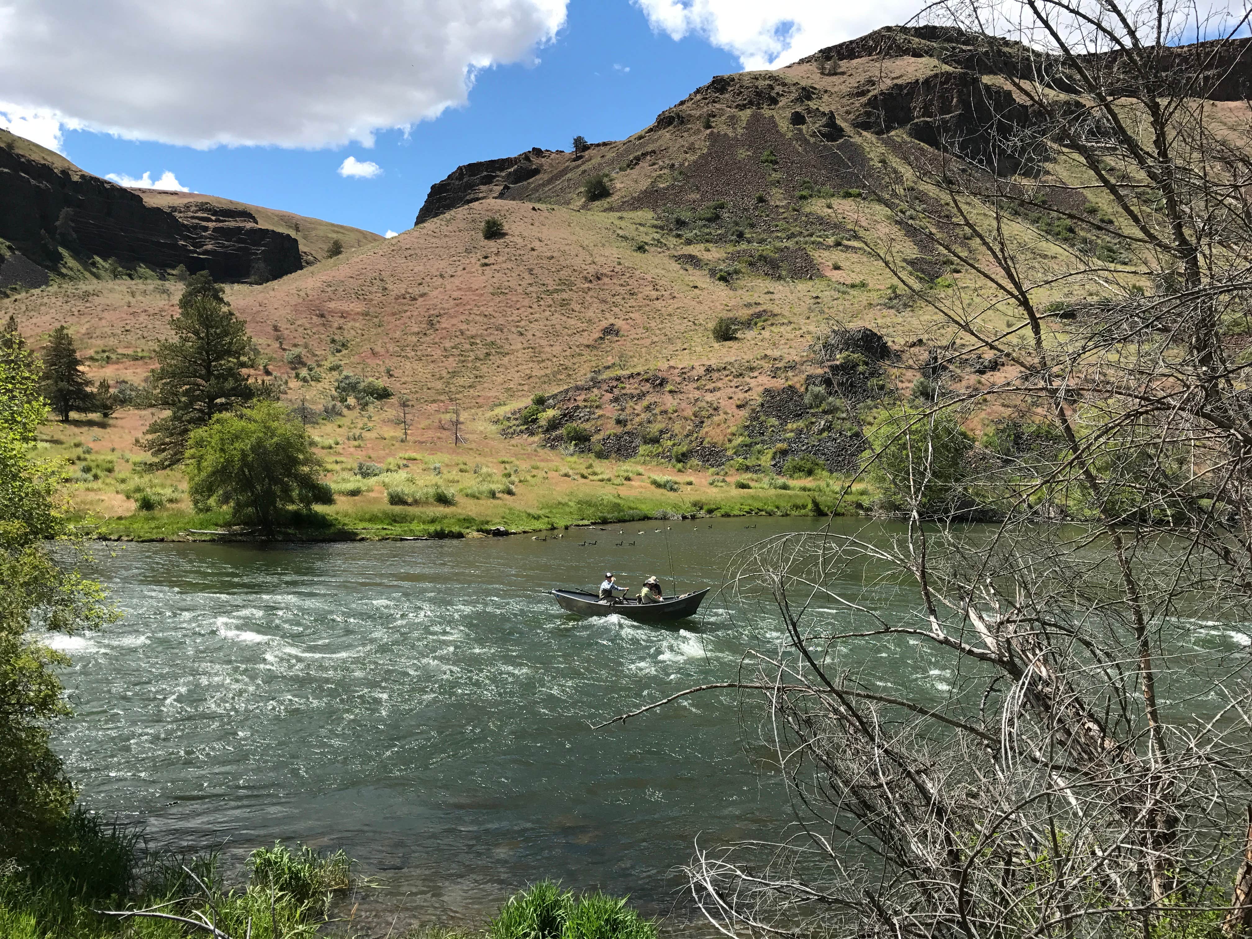 Trout Creek Campground Madras, OR