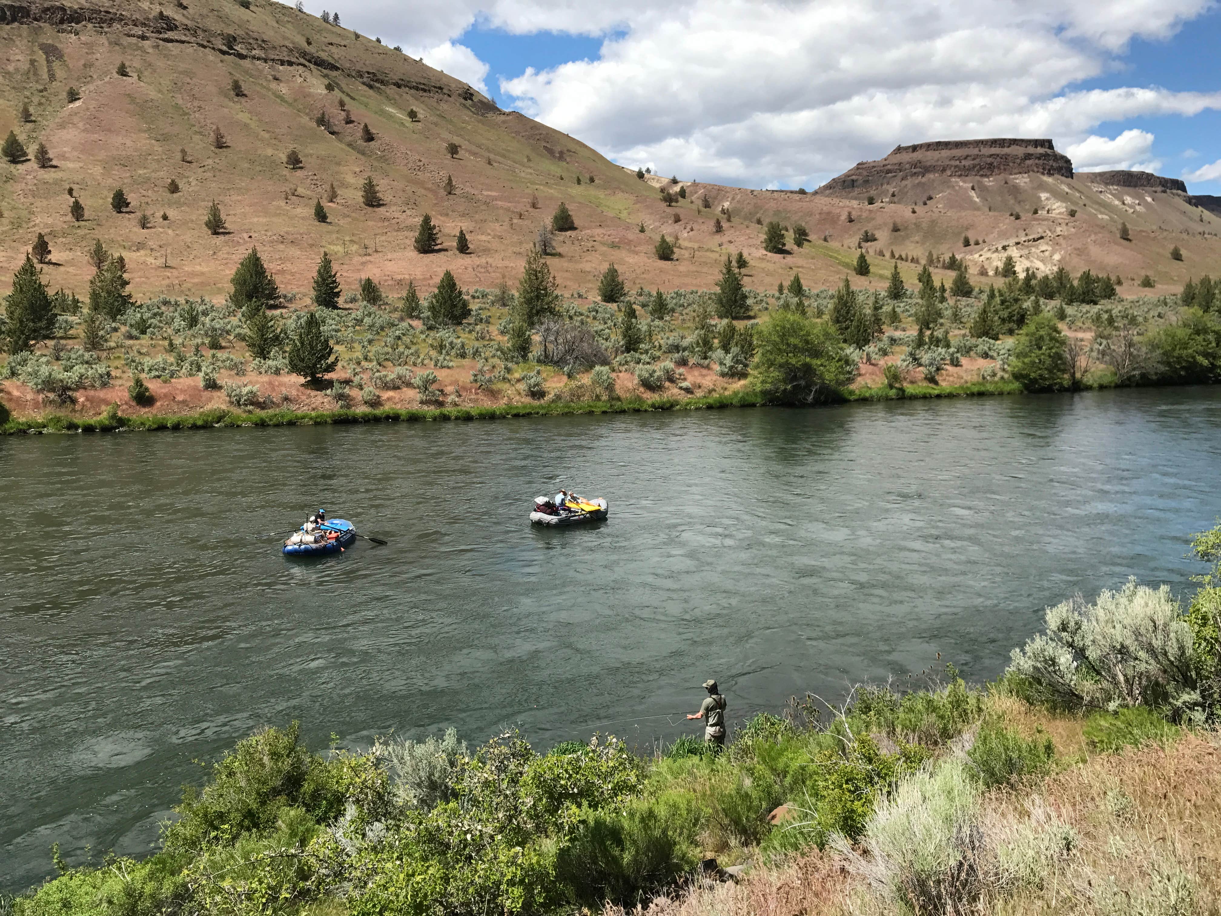 Camper submitted image from Trout Creek Campground - 1