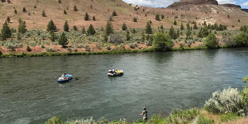 Camper submitted image from Trout Creek Campground