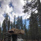 Review photo of Holcomb Valley Campground by Samuel , May 9, 2019