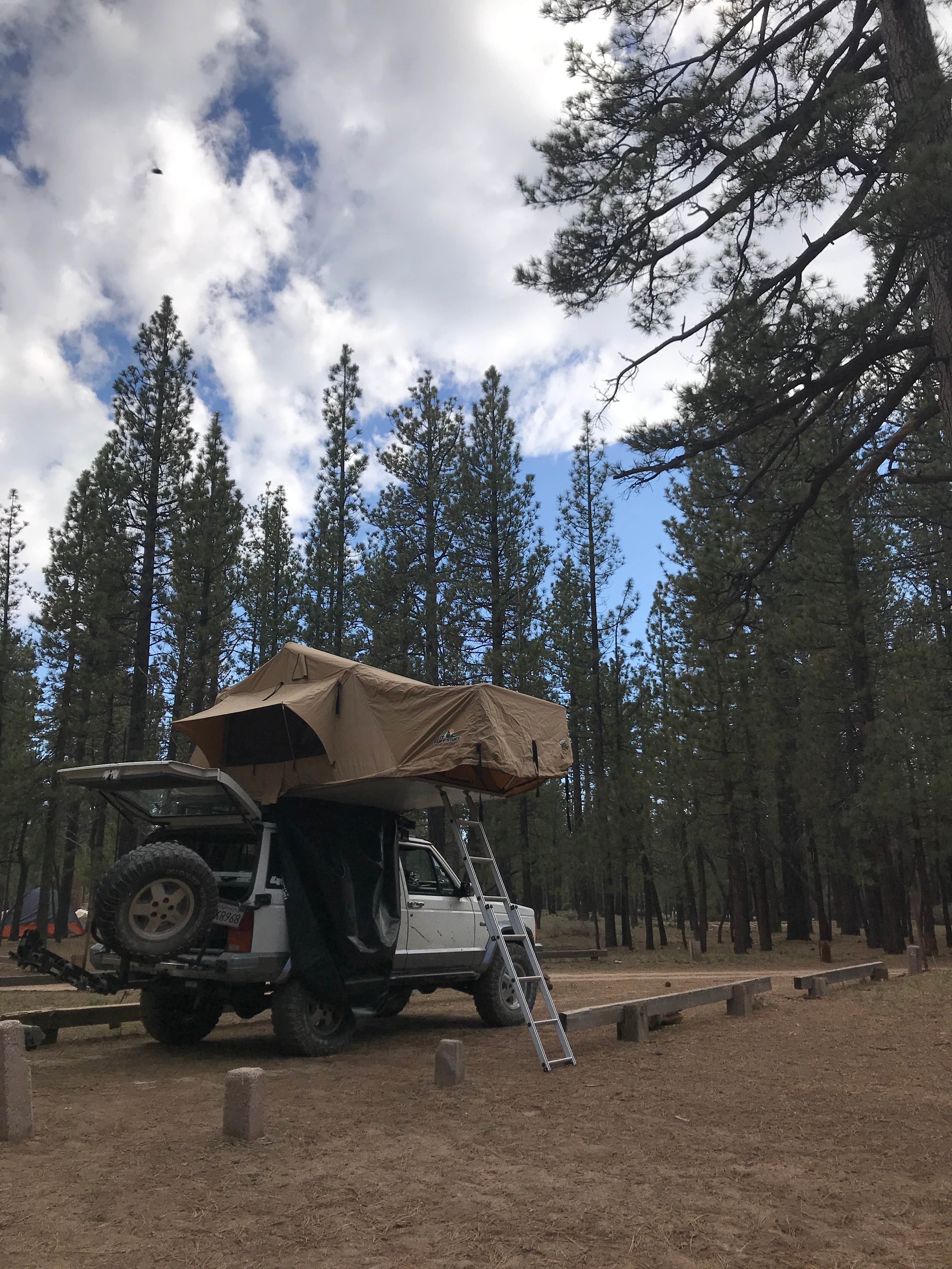 Camper submitted image from Holcomb Valley Campground - 4